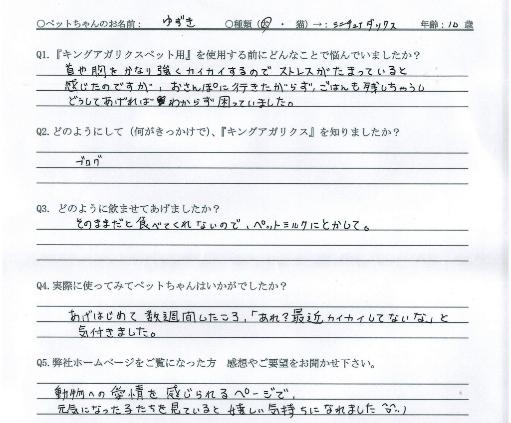 ミニチュアダックス　皮膚　ストレス